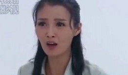 爱没有错在线观看,一场跨越时空的浪漫邂逅